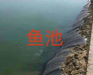 鱼池防渗膜